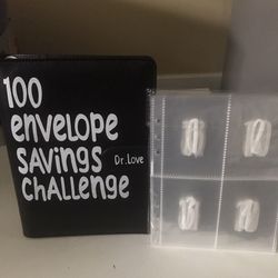 100 Money Envelopes 