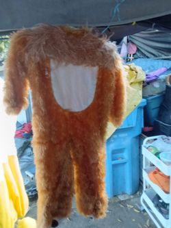 Lion costume