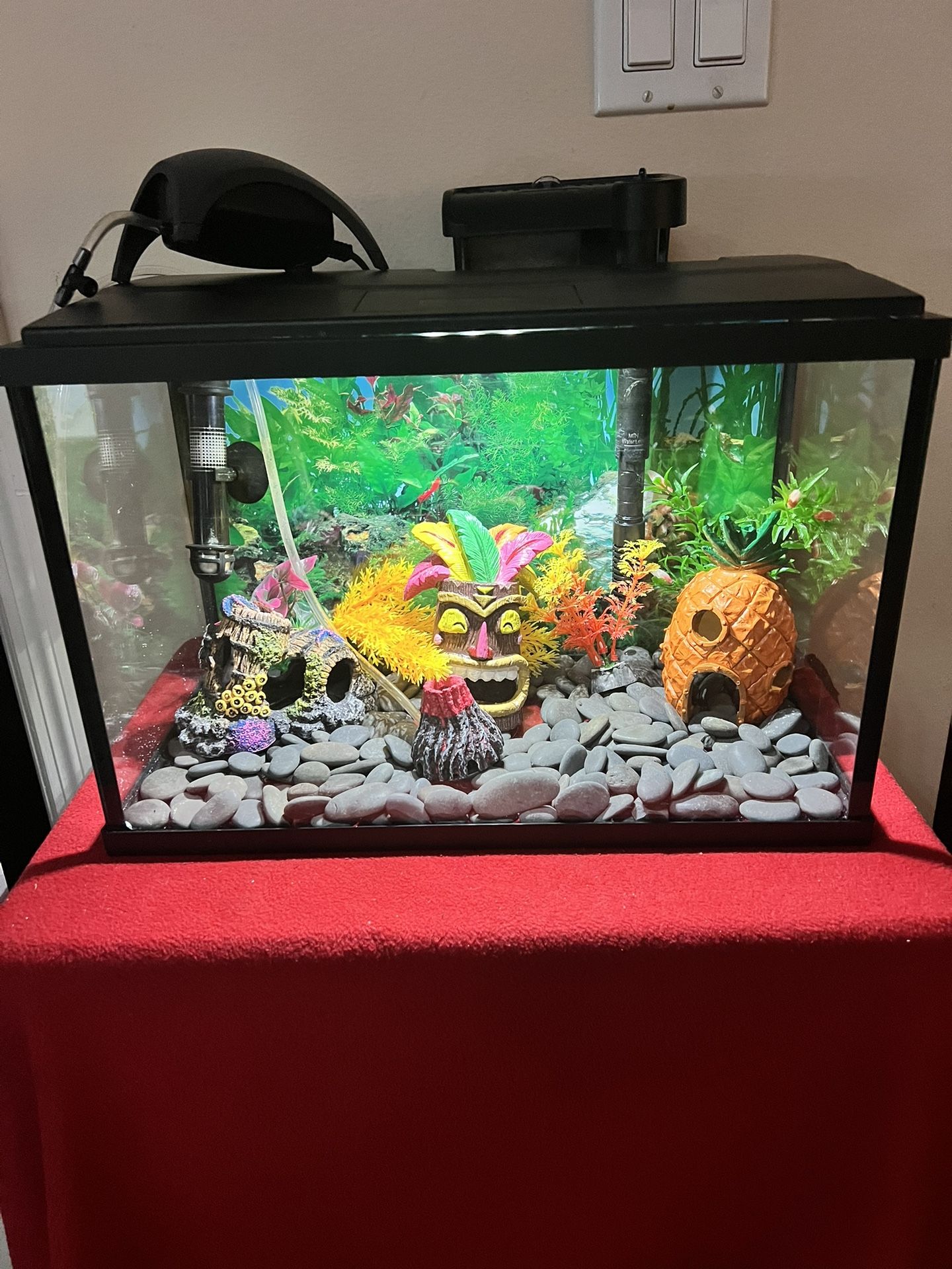 Aquarium 5Gal Complete 