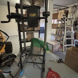 Body Champs 5 In 1 Power Tower