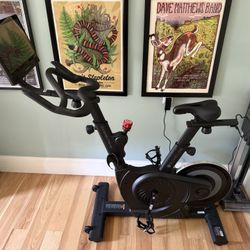 Exercise Bike – $100 (OBO)
