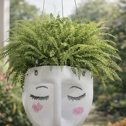 Recycle Face Planter With Potted Plant Removal