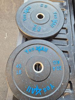 Pair of bumper plates 45lbs Each