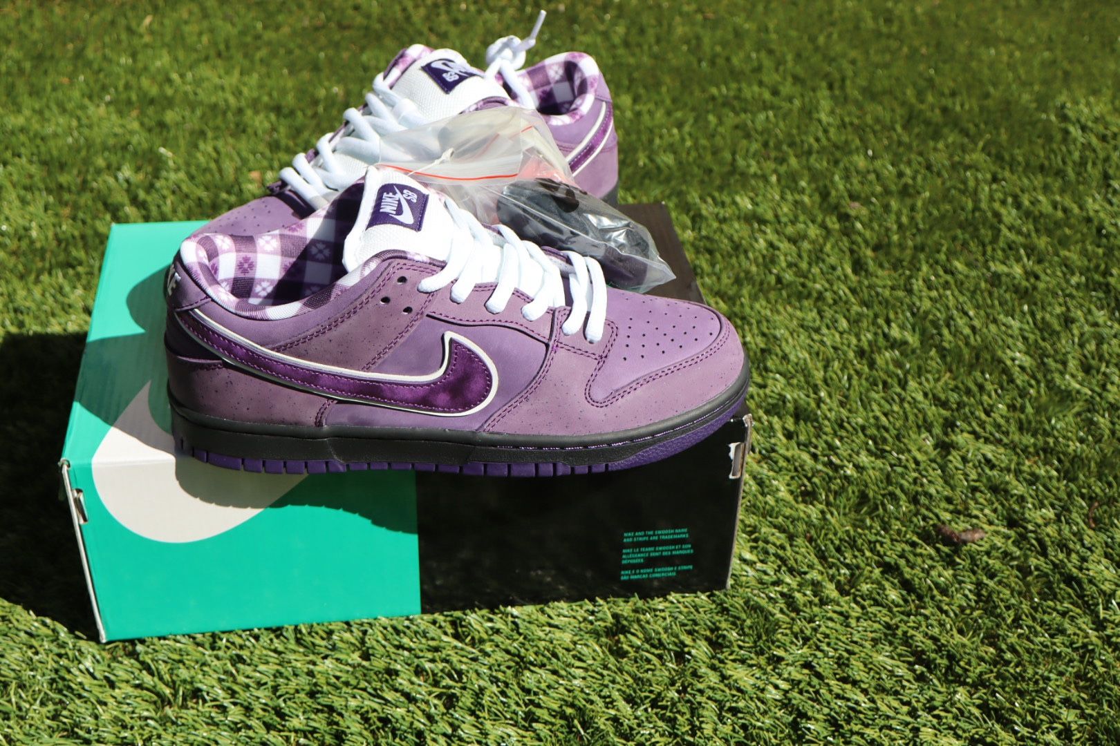 Nike Sb Lobster