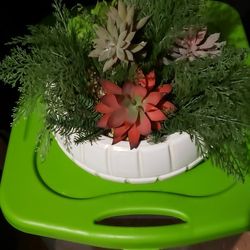 Sale Sale Black FRIDAY.....