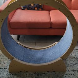 Cat Exercising Wheel