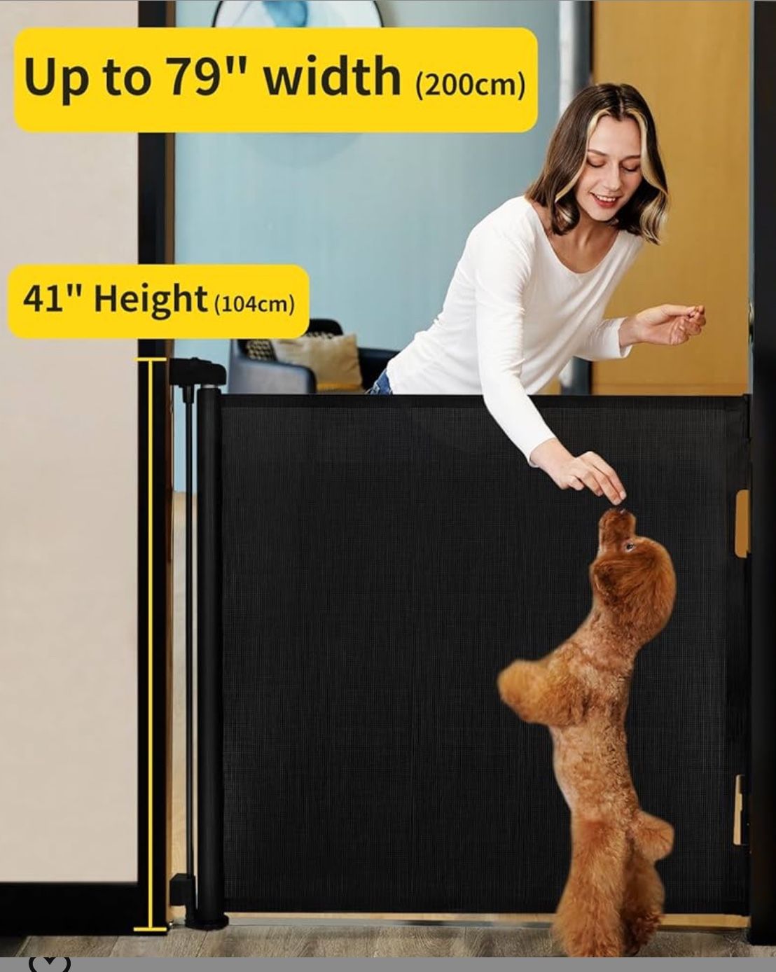 Retractable Gate