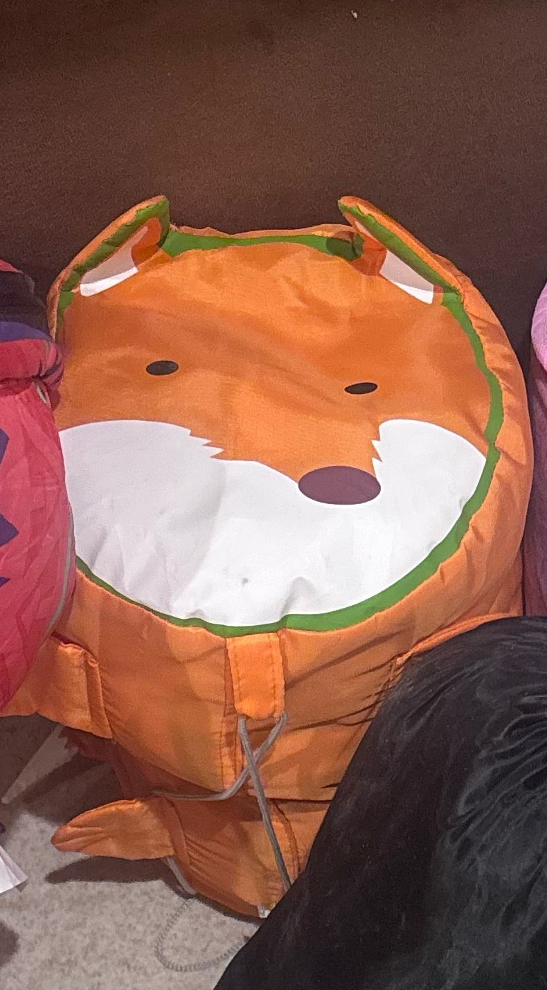 Kid Sleeping Bag 
