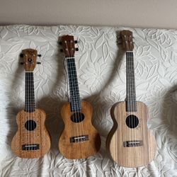 Ukulele 