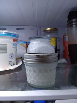 Kefir  grains - bulgaros