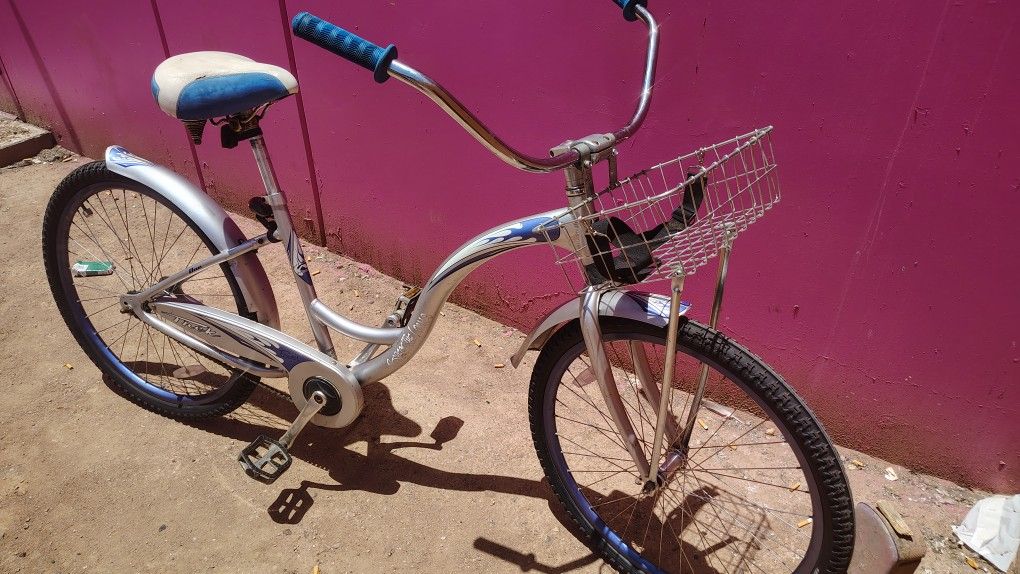 Trek Bike