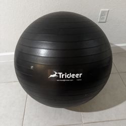 Pregnancy Yoga Ball