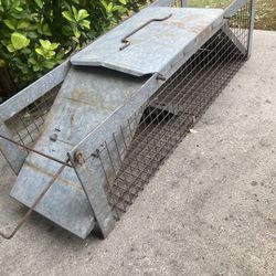 Animal Trap 