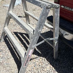 3 ft. Aluminum Ladder