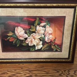 Magnolia Flowers Picture