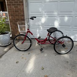 Adult Adult Size Tricycle
