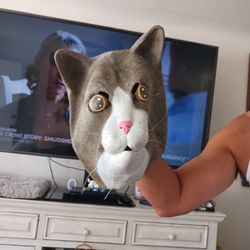 Cat Mask