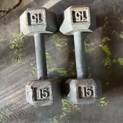 15 Lbs Dumbbells
