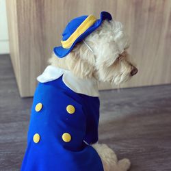 Halloween costume