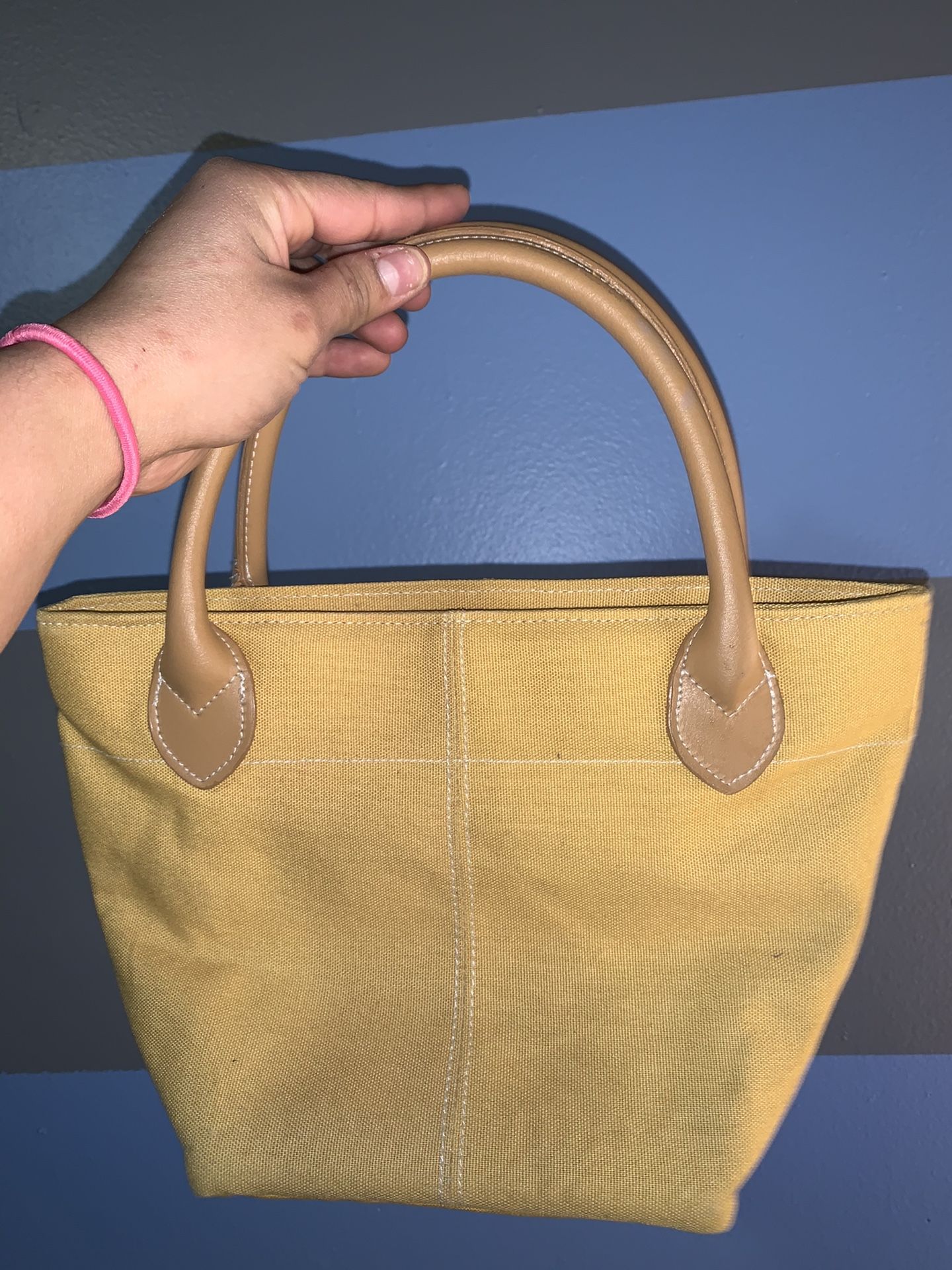 Lillian Vernon Purse