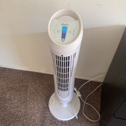 Fan 