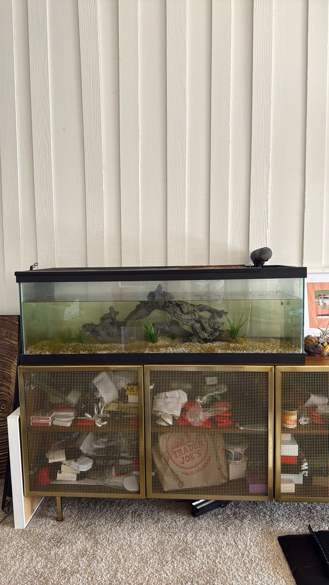 60 Gallon Fish Tank