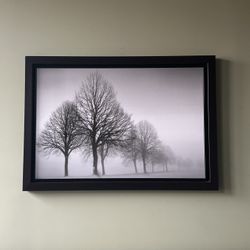 Trees Tree Artwork Giant Picture Art