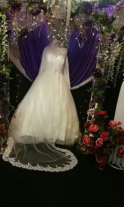 Wedding dress and veil