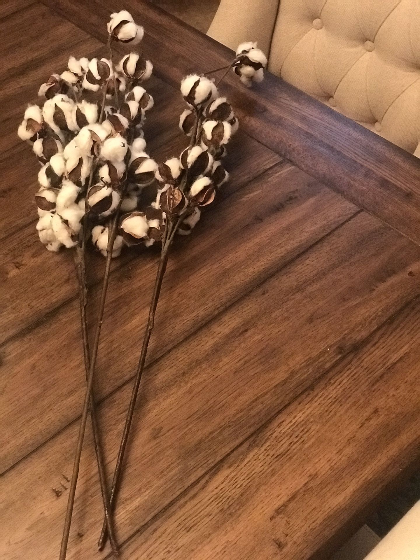 Magnolia Market Cotton Stems (set of 3)