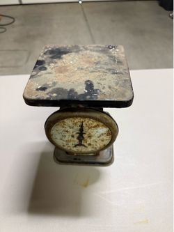 American family scale