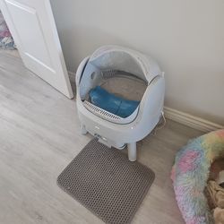 Cat Tower And Litter Box