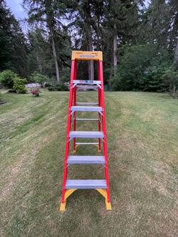 Warner 6FT ladder