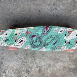 Complete 22 Inch Sanview Mini Cruiser Skateboard