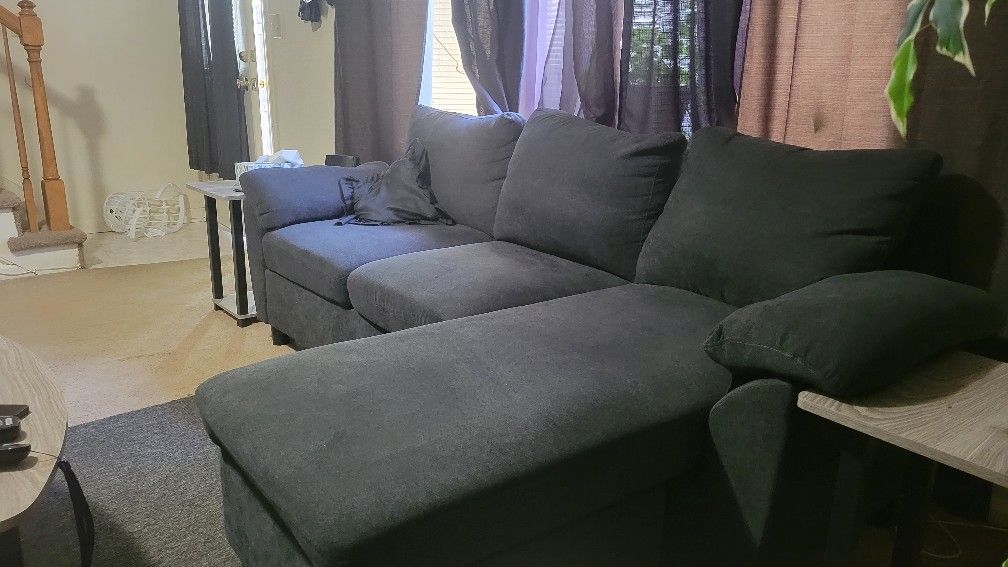 Living room Couch Sectional 