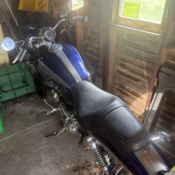 2007 Harley 1200 custom