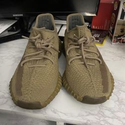 Yeezy Earth 