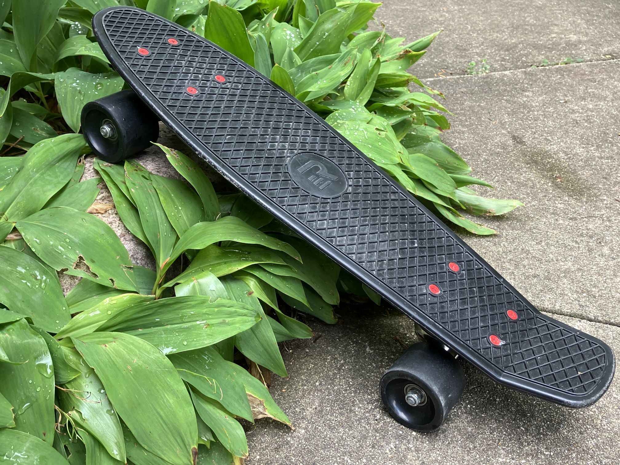 Black & Red Skateboard