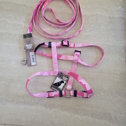 Dog Leach And Harness 