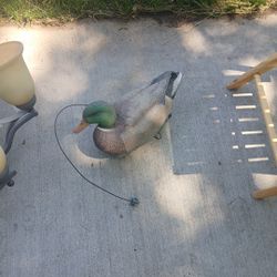 Duck (Mallard Drake) Decoy