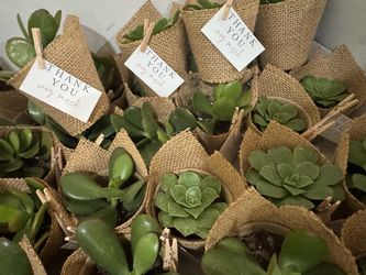 Party favors