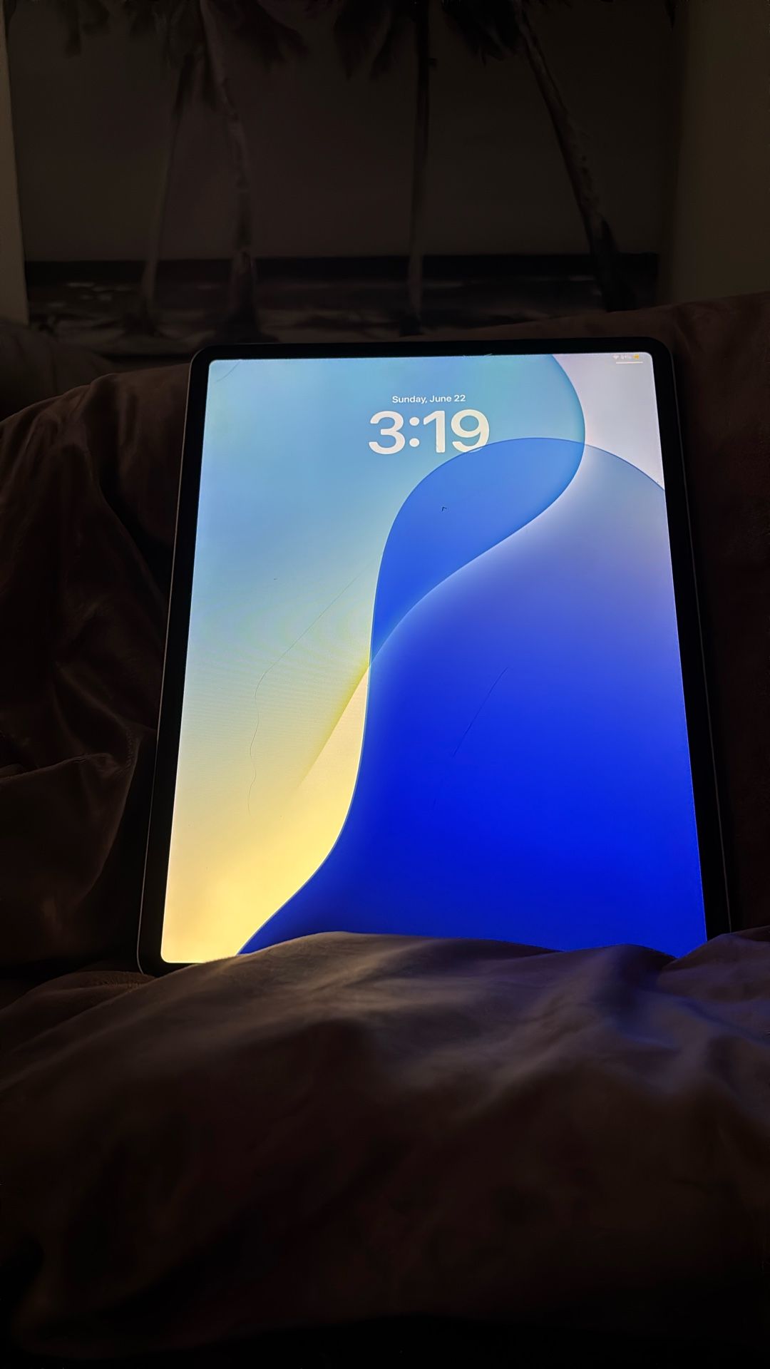 iPad Pro