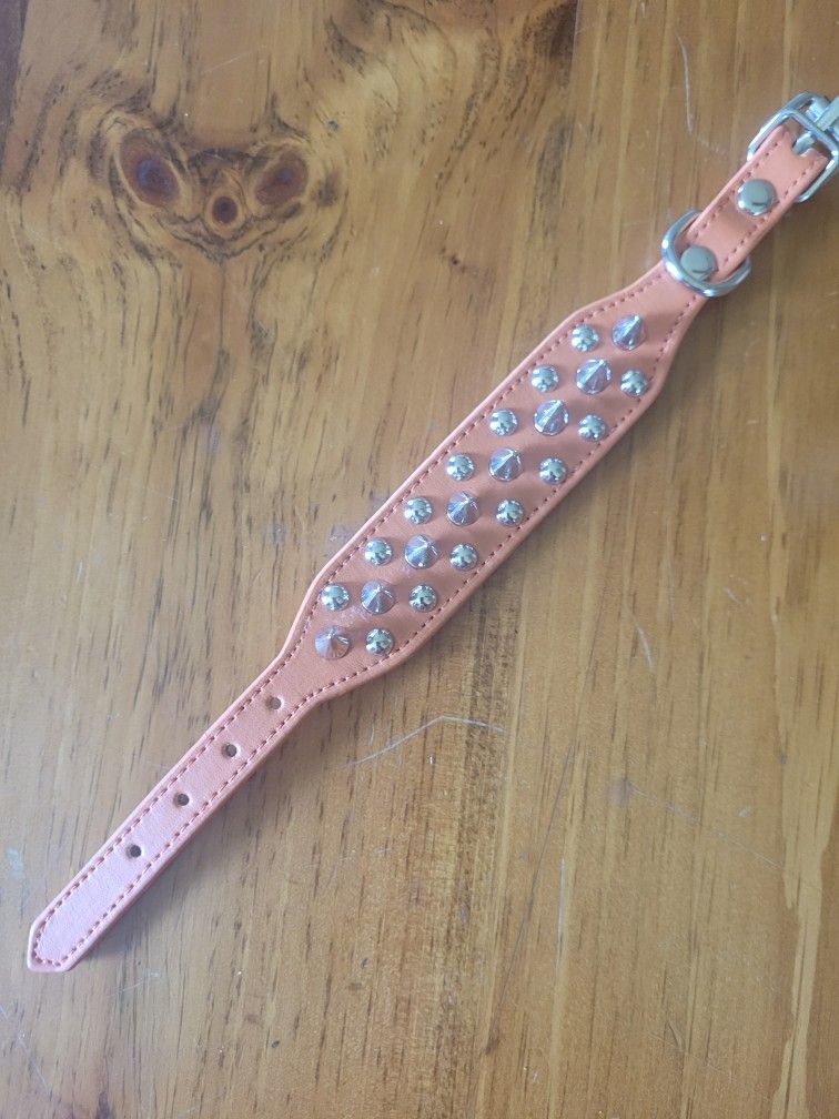 XXS Orange Spiked Pet Collar β NEW