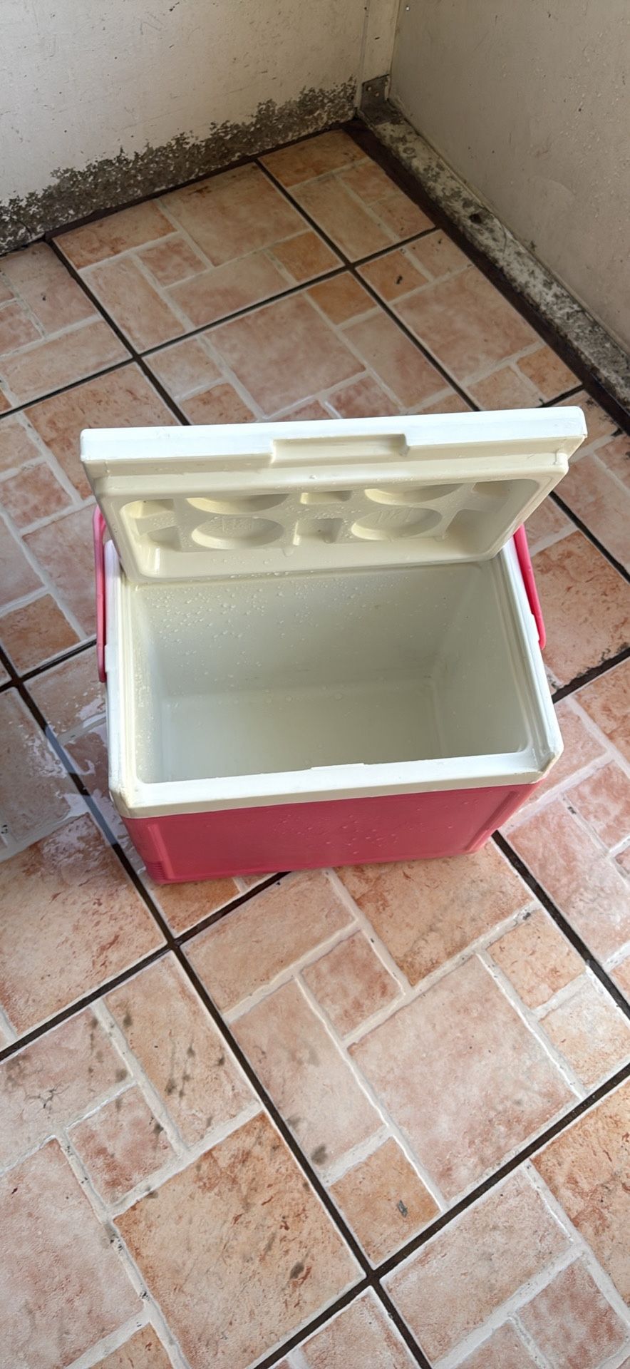 2 Beach Coolers