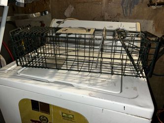 Animal trap
