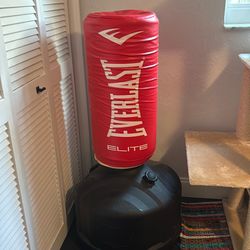 Punching Bag