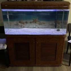 Aquarium and filter Jebo