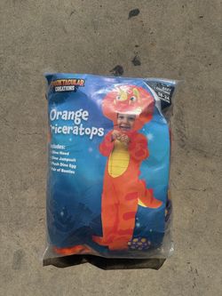 Kids dinosaur costume