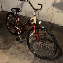 Beach Cruiser 