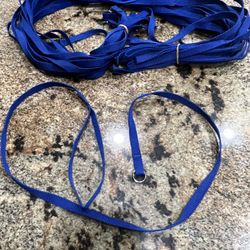Dog Training Leashes  And Collars 