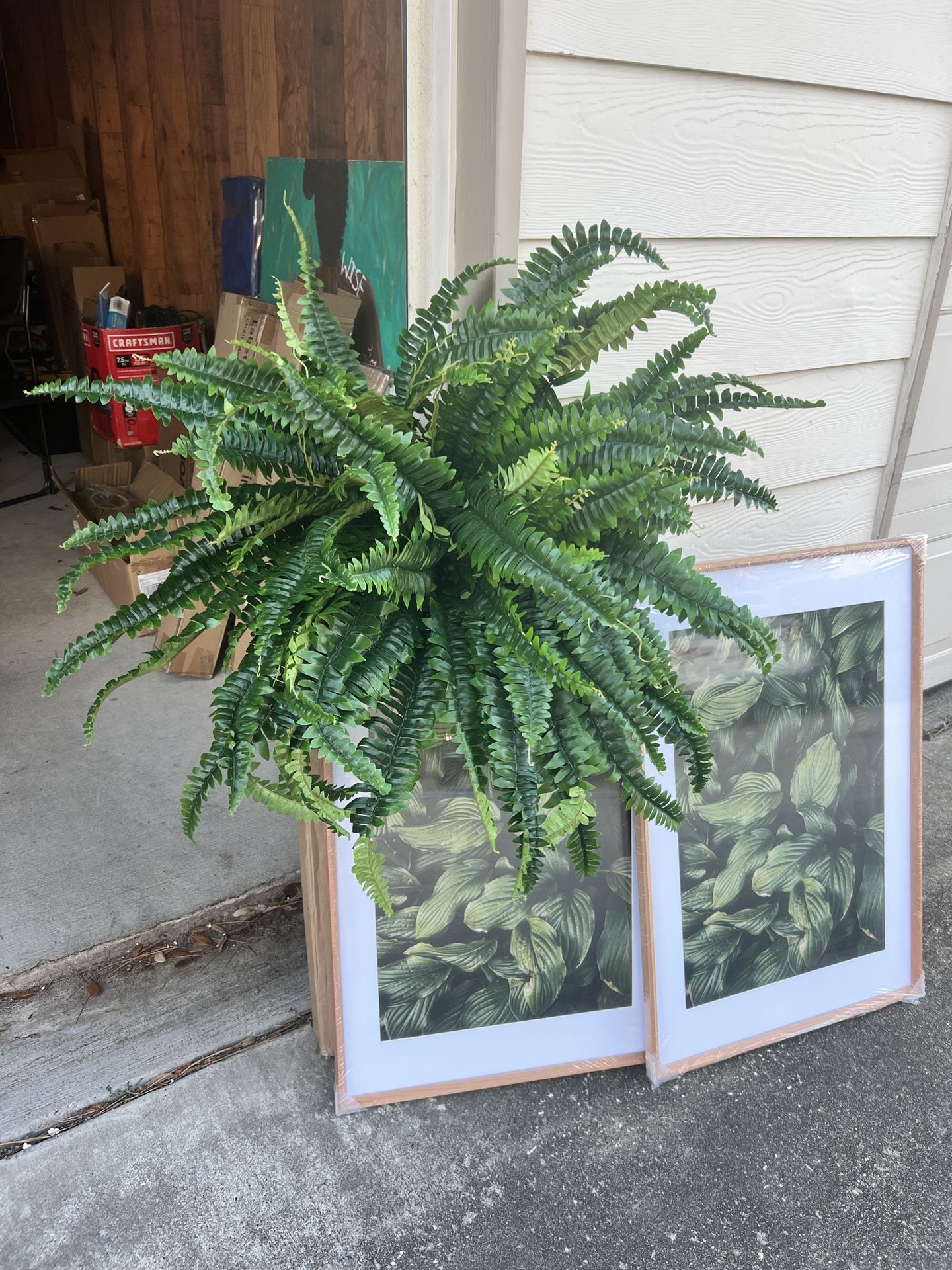 Faux Fern
